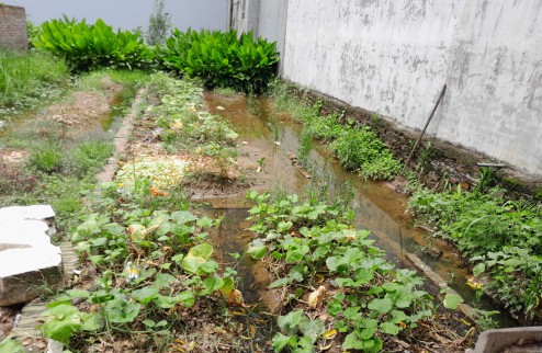 Bán gấp 75m2 đất thổ cư MT 4m, đường 2 ô tô tránh, Hậu Dưỡng Kim Chung Đông Anh chỉ 3.x tỷ